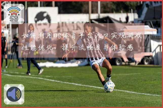 如何利用ng体育平台入口实现游戏性能优化，提升流畅度与体验感
