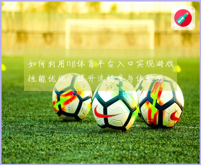 如何利用ng体育平台入口实现游戏性能优化，提升流畅度与体验感
