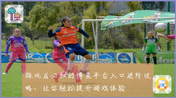 踩坑后必知的博鱼平台入口进阶攻略,让你轻松提升游戏体验